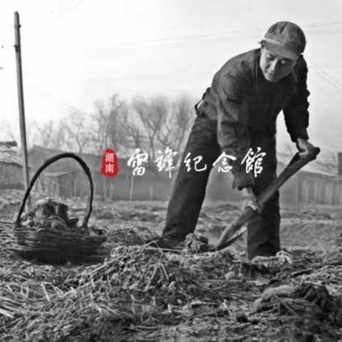 阳光实验小学——学习雷锋日记，继承优良传统，弘扬雷锋精神【七】