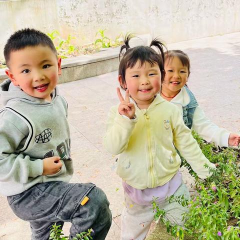 🌈七色花幼儿园🌈苗苗二班 第十二周日常