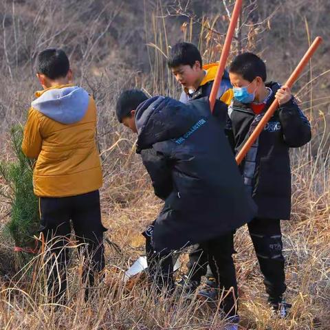 古武当山景区植树护林 环保科普研学旅行活动成功举办