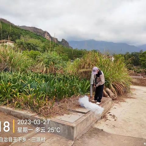 三亚捷立达公司对王下乡开展病媒生物防治工作报告