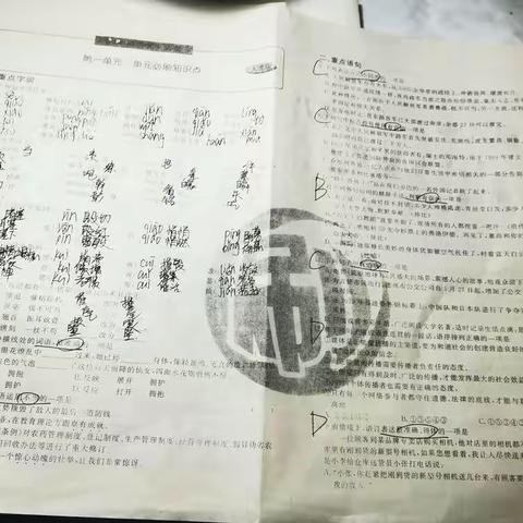 王鑫蕊 10.1 国庆假期作业