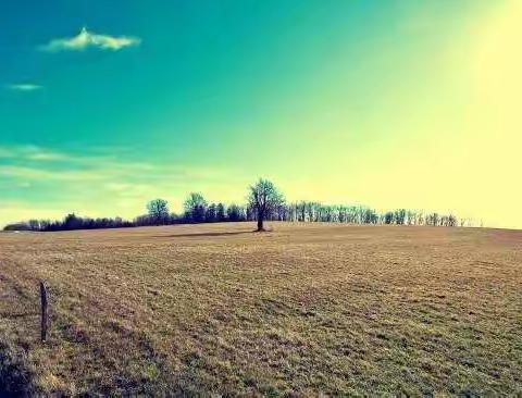 优翼【初二B组-期末-学生作品】汇总