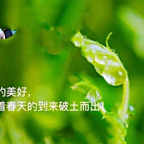 《同题诗会、春天的脚步》春天来了