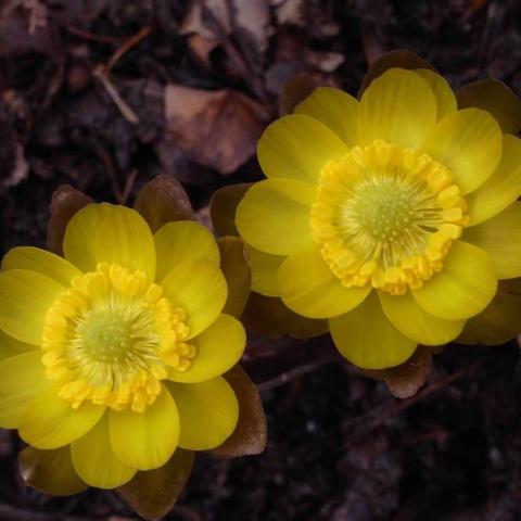 也挺好（小小说）