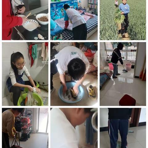 我劳动，我快乐，                                致敬劳动者 新华小学六（3）班