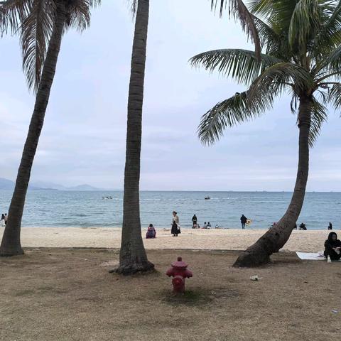 TIPS 的详细解析