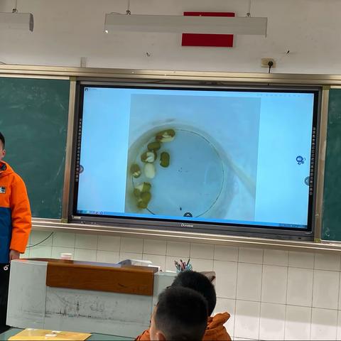 五九班科学课下期剪影