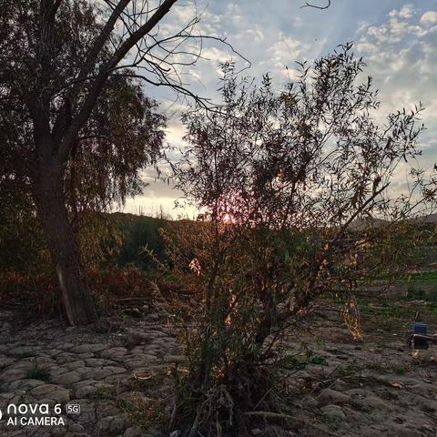 转3，人性的光芒