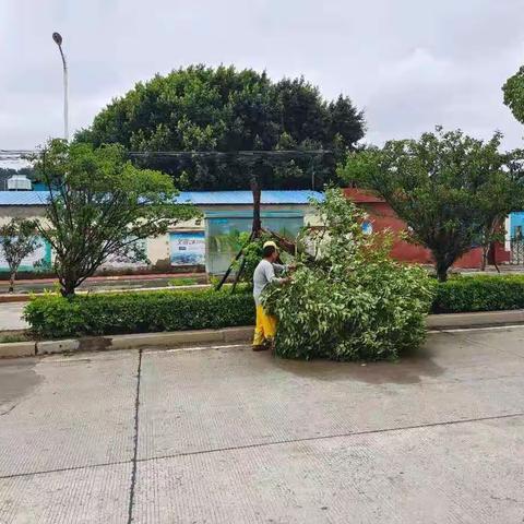 梅花镇：众志成城 掀起灾后重建热潮