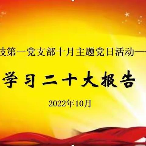 市九院医技第一党支部开展十月主题党日活动—学习二十大报告（一）