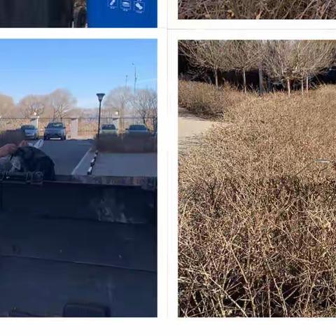 美好生活  劳动创造——爱民街小学五年级一班寒假实践活动纪实