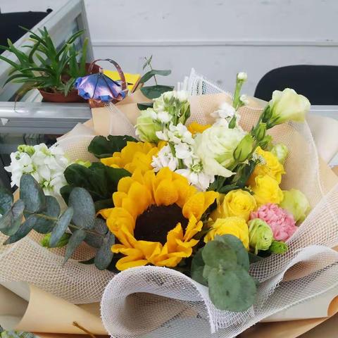 晴雪照梅的美篇