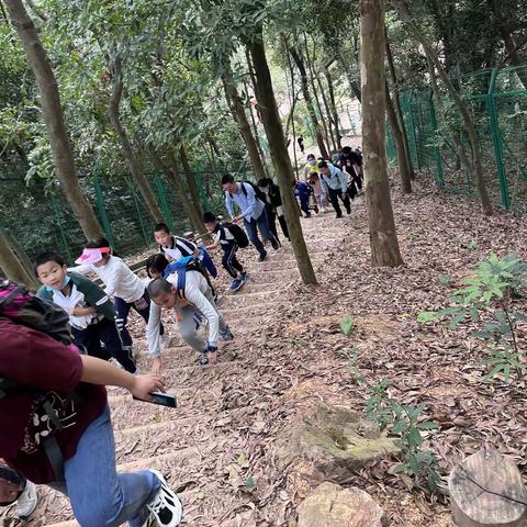 大窝岭郊野径越野徒步 感受春光！