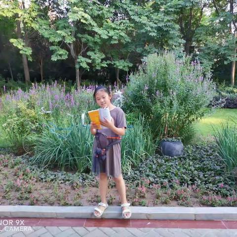 阳光自信  勇于追梦 ——实验小学五（7）班温欣宇