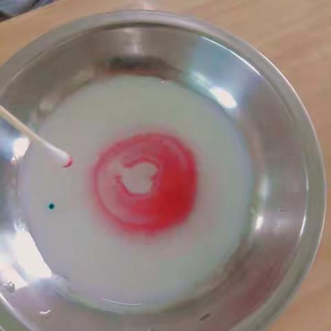 小小科学实验站✌️✌️-----“昙花”一现