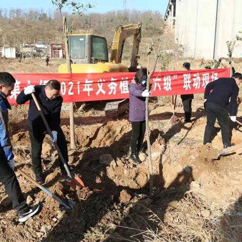 超化镇开展“六级联动”     冬季义务植树活动