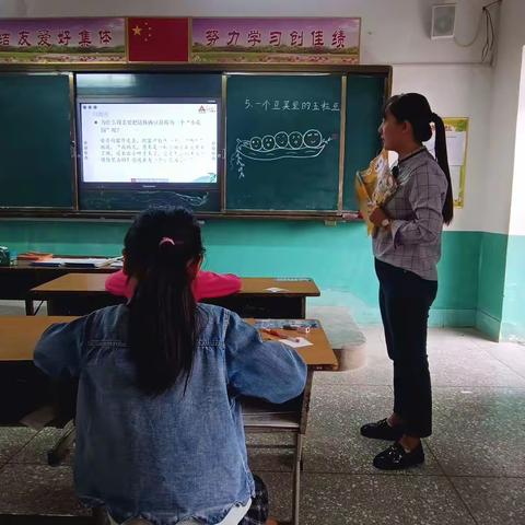 一粒小豌豆，引发教研情（横水镇古县小学语文教研活动）