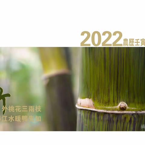 2022台历  竹
