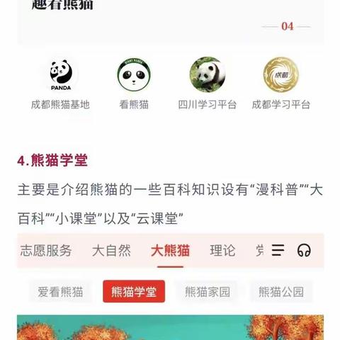 【学习强国】“强国熊猫”给学习加“萌”料！