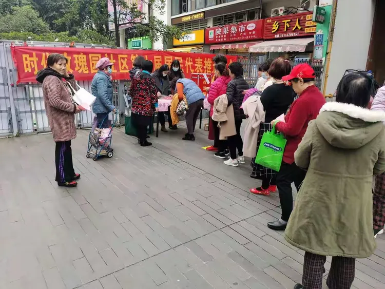 鹤龙街党工委书记黄符伟带队到时代玫瑰园社区指导居民代表选举工作