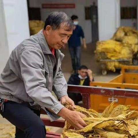 初心不与流年去，恪职尽守情意浓 --致即将退休的老同志“曾星荣”