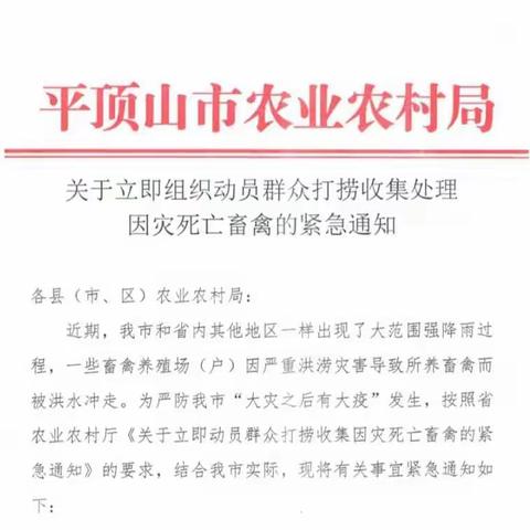 加强无害化处理，严防“大灾之后有大疫”——宝丰县动物卫生监督所在行动