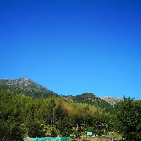 小英教育亲子野炊活动剪影