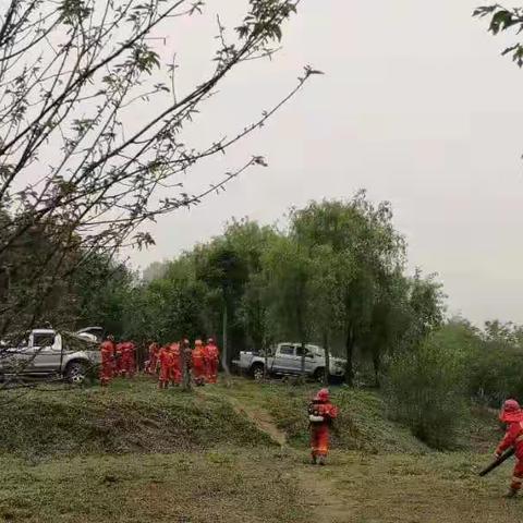 蜀山森林公园森林防火实战演练