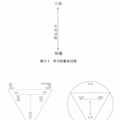 两种过程三种维度，四种类型应用迁移——育红小学泉北校区五年级线上读书《我们如何学习:全视角学习理论》分享