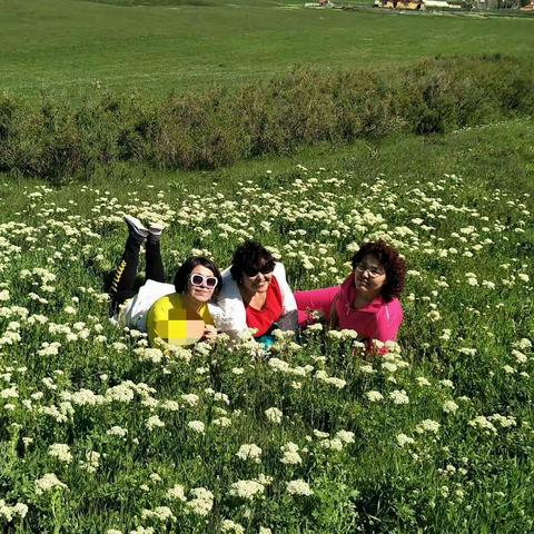 一起享受铁列克提草原美景