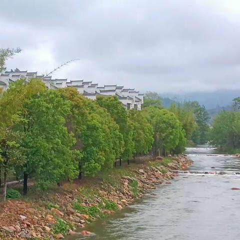 ☔️仲春江南景致.殊胜妙不可言♨️