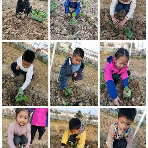 美好蒋小•社团的美篇