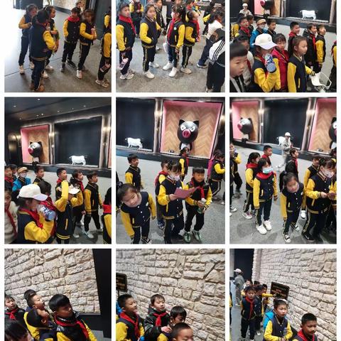 春季研学—熊猫猪猪乐园