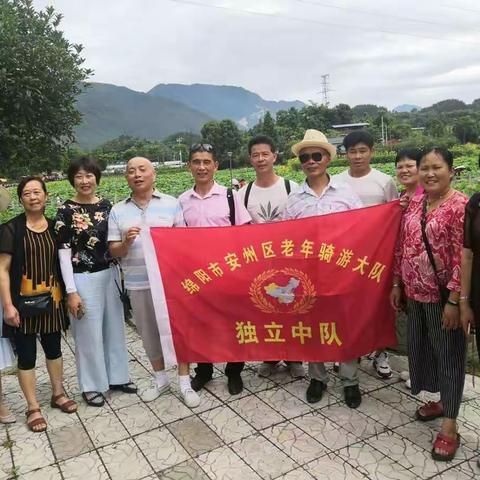 安州区老年骑游大队独立中队部分队员到睢水环湖碧荷园游览玩耍