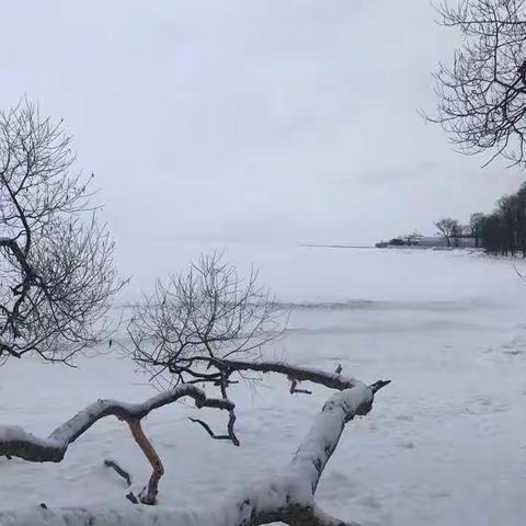 这最后一眼雨中的故乡