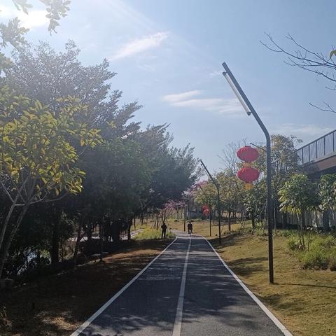 【园容管理周报】笔架山公园2025年2月第1周工作汇报