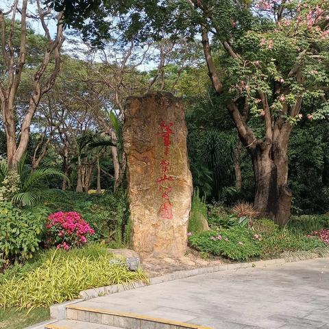 【园容管理周报】笔架山公园2024年12月第4周工作汇报