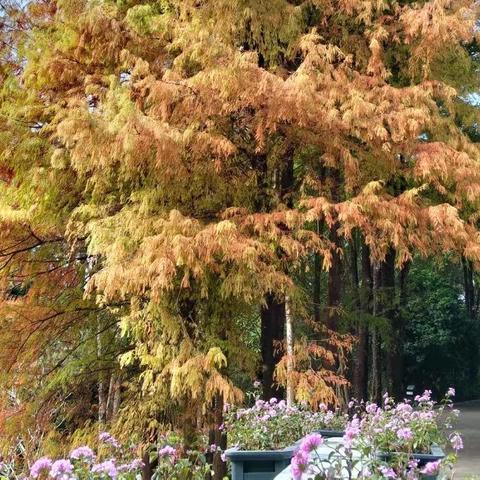 【园容管理周报】笔架山公园2025年3月第1周工作汇报