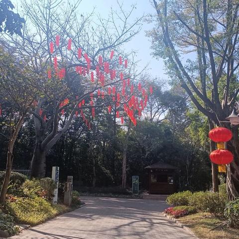 【园容管理周报】笔架山公园2025年1月第4周工作汇报