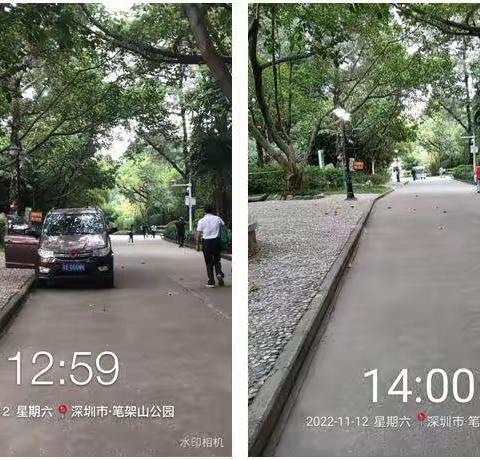 笔架山公园片区11月12日随机检整改情况汇报