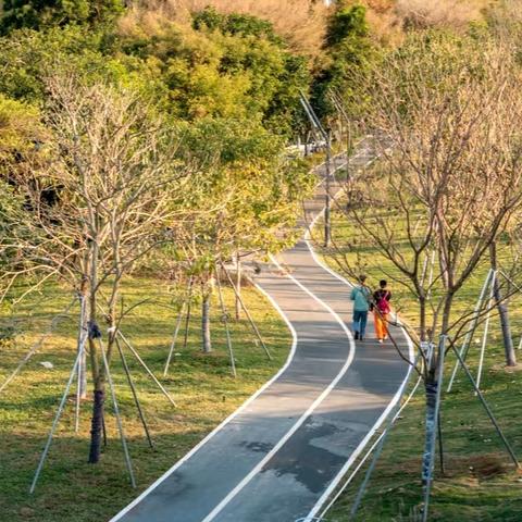 【园容管理周报】笔架山公园2024年12月第3周工作汇报