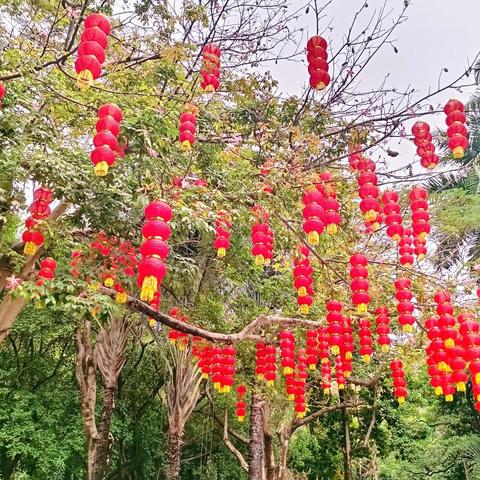 【园容管理周报】笔架山公园2025年1月第5周工作汇报