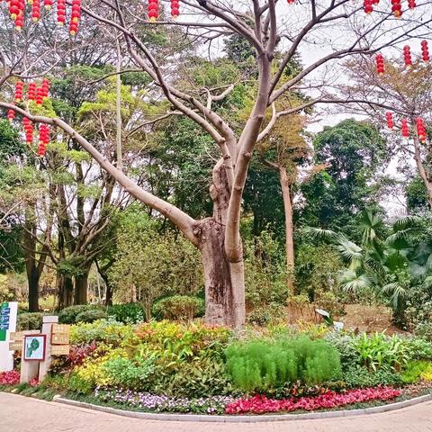 【园容管理周报】笔架山公园2025年1月第3周工作汇报