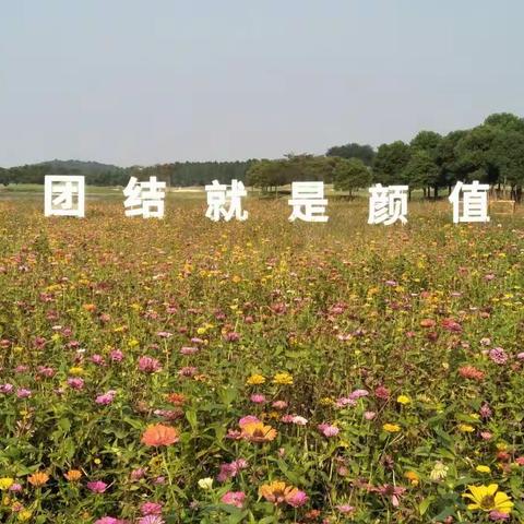 雄关漫道真如铁，而今迈步从头越------荣小2017年秋学期校园记事