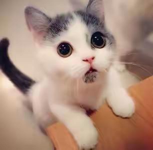 🐹往事如烟🐒