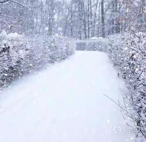 闻雪而动 积极应对 鹏宣物业扫雪保畅通 不惧严寒暖人心