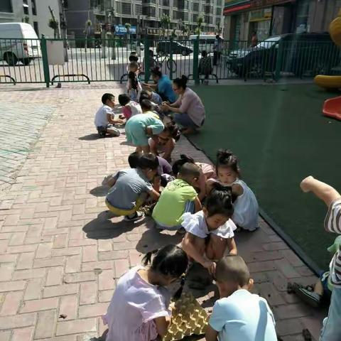 贺兰启明星第 二幼儿园《土课程》活动。孩子和大自然亲密接触，感受大自然的气息，给孩子们无尽的乐趣。
