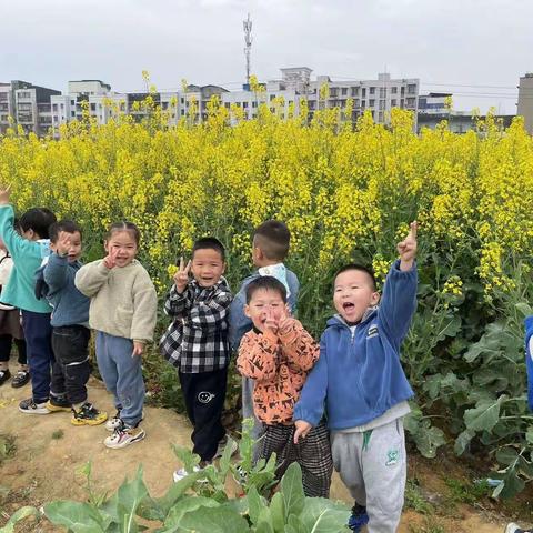 ❤️明幼中班第五周快乐分享💕