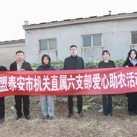 泰安市民盟机关直属六支部开展支农助农活动