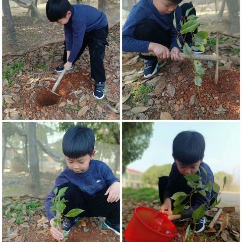 拥抱春天🎋播种希望🌱